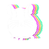 Chinchilla