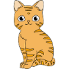 Chat tigré