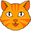 Tabby Cat