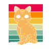 Tabby Cat