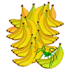 Banane Banane Fruit Exotique Spider