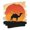 Camel