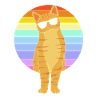 Tabby Cat
