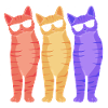 Tabby Cat