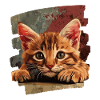 Kitten