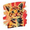 Kitten