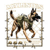 Malinois with army backpack