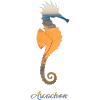 Arcachon seahorse