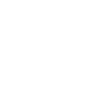 Acoustic Guitar
