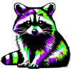 Raccoon
