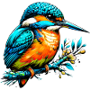 Martin-pêcheur