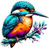 Kingfisher