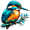 Martin-pêcheur