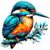 Kingfisher