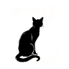 Letter Z with cat