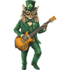 Katze