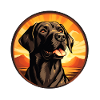 Hundefreund Labrador