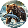 Grizzly Bear