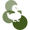 Beak Duck Duckling