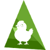 Chicken coop chicken egg