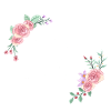 Lettre k florale rose