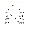 Crow Counting