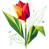 Geometric tulip – elegance in polygons