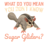 Sugar glider
