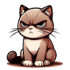 Cranky Cat