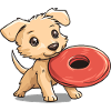 Dog Fetch Fetching