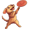 Chien Chien Frisbee Agility