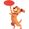 Dog Frisbee