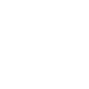 Burpee King