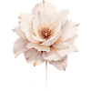 Élégante Fleur Aquarelle - Rose