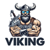 Viking Sunglasses 1