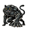 panther