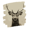 Cerf avec bois