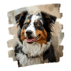Australian Shepherd