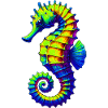 Hippocampe