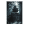 Megalodons Megalodon
