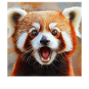Roter Panda