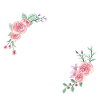 Rosa Blumenbuchstabe o