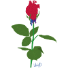 Cœur rose