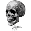 Memento Mori Skull