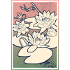 Water Lily Illustration – Tranquility & Nature