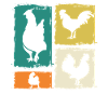 Chicken Rooster