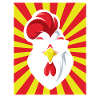 Chicken Rooster