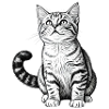 Kitty