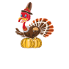 Trruthahn Thanksgiving Conception drôle