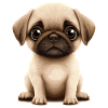 Pug Puppy